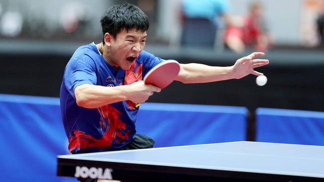 运动发展道 运动发展道