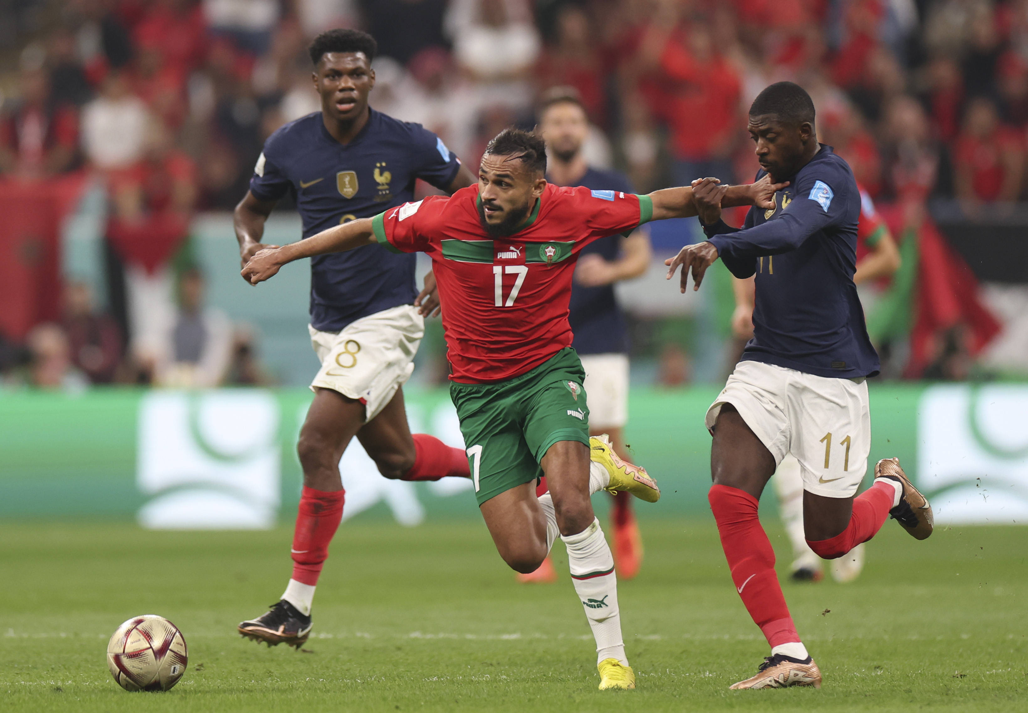 更多的人性 更多的人性