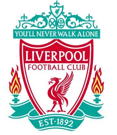 球星任意球 球星任意球